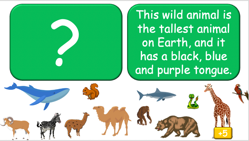 Grade 3-4 - ESL Lesson - Habitats and Wild Animals - Part 2