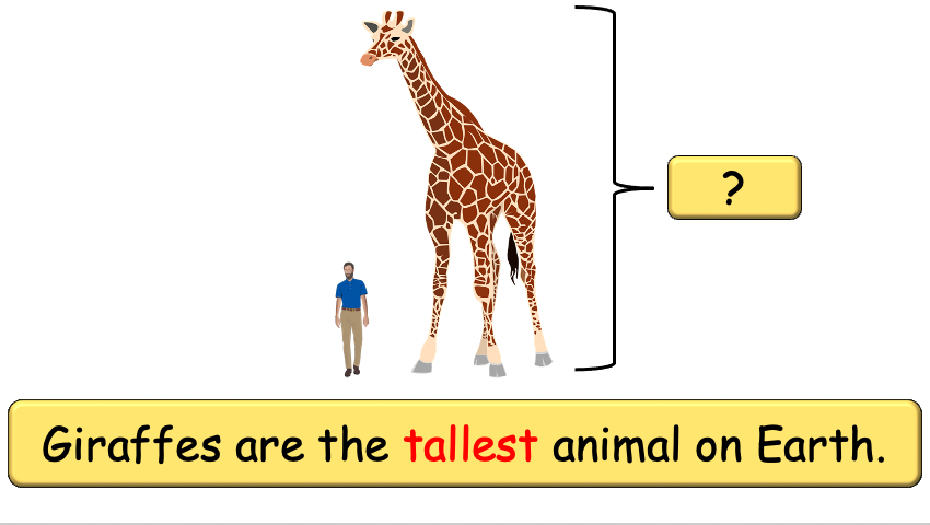 Grade 3-4 - ESL Lesson - Habitats and Wild Animals - Part 2