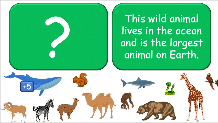 Grade 3-4 - ESL Lesson - Habitats and Wild Animals - Part 2