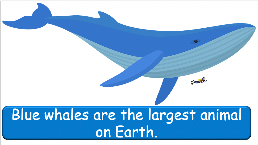 Grade 3-4 - ESL Lesson - Habitats and Wild Animals - Part 2