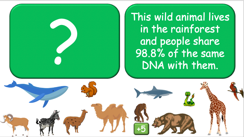 Grade 3-4 - ESL Lesson - Habitats and Wild Animals - Part 2