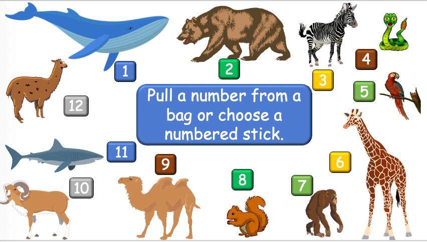 Grade 3-4 - ESL Lesson - Habitats and Wild Animals - Part 2