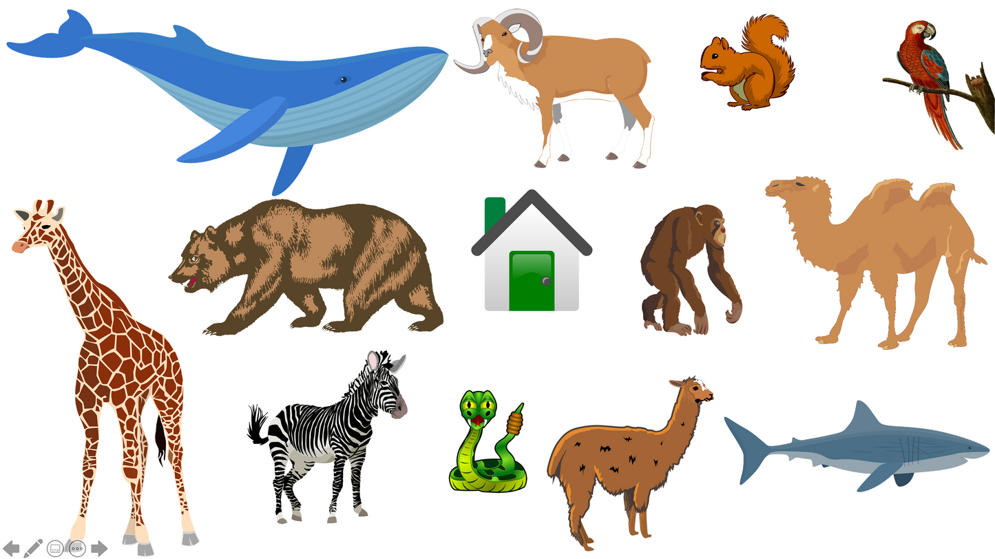 Grade 3-4 - ESL Lesson - Habitats and Wild Animals - Part 2