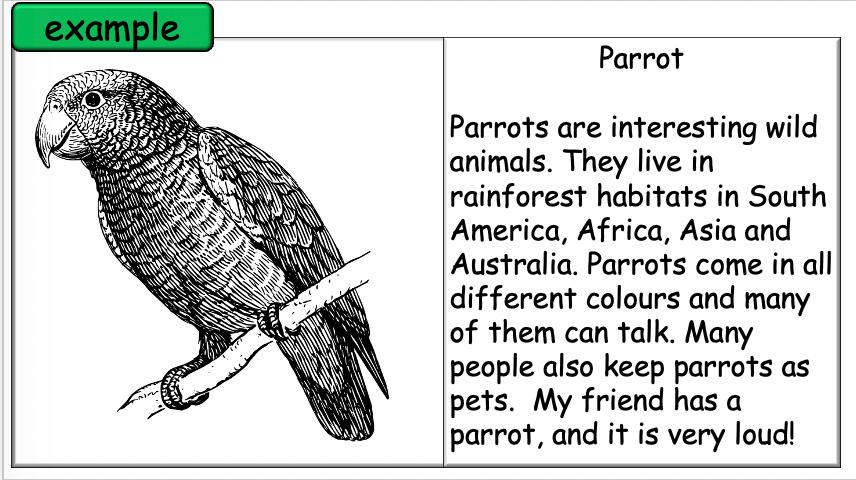 Grade 3-4 - ESL Lesson - Habitats and Wild Animals - Part 2