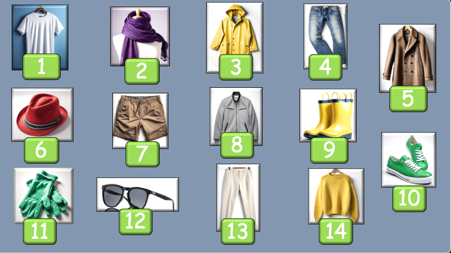 Grade 2-4 - ESL Lesson - Clothing / What are you wearing today? - PowerPoint Lesson