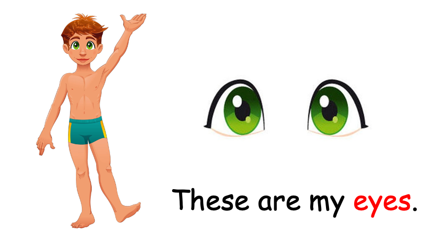 Grade 1 - Semester 1 - Week 10 - My Body 1 - ESL PowerPoint Lesson