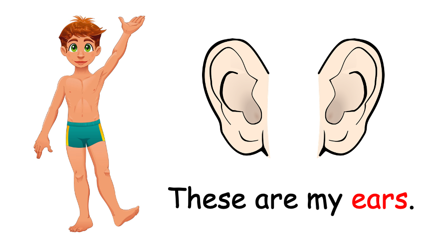 Grade 1 - Semester 1 - Week 10 - My Body 1 - ESL PowerPoint Lesson