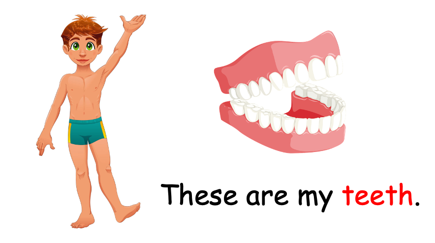 Grade 1 - Semester 1 - Week 10 - My Body 1 - ESL PowerPoint Lesson