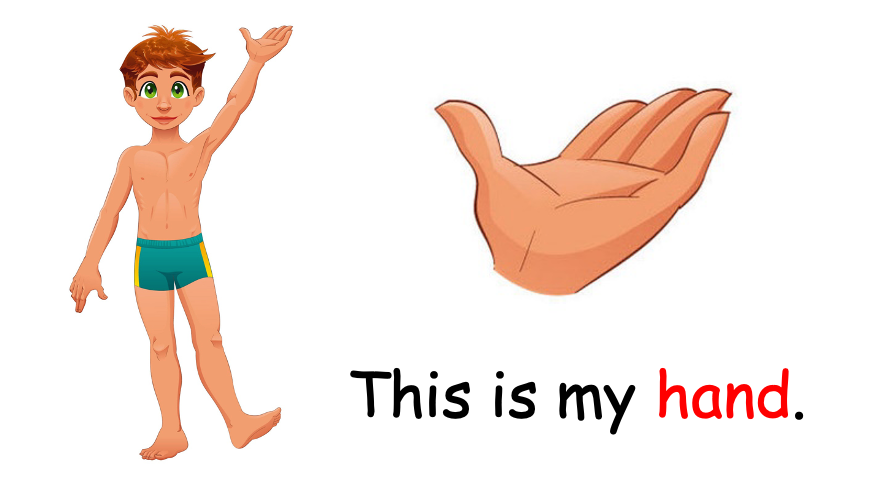 Grade 1 - Semester 1 - Week 10 - My Body 1 - ESL PowerPoint Lesson