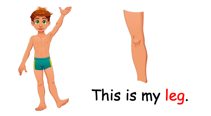 Grade 1 - Semester 1 - Week 10 - My Body 1 - ESL PowerPoint Lesson