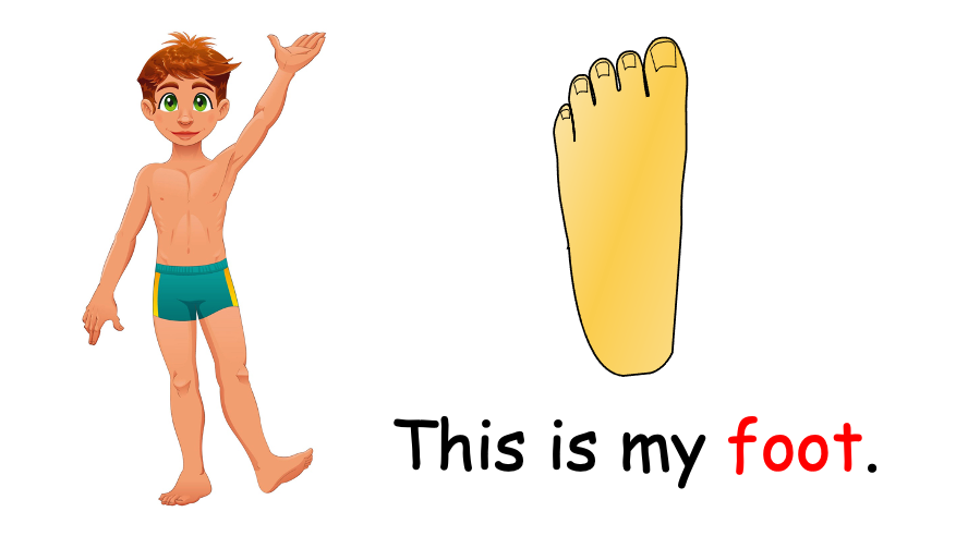 Grade 1 - Semester 1 - Week 10 - My Body 1 - ESL PowerPoint Lesson