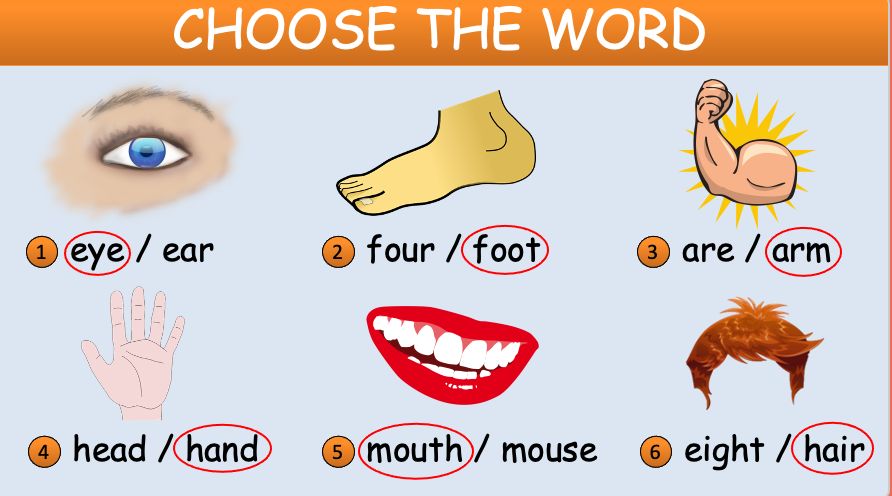 Grade 1 - Semester 1 - Week 10 - My Body 1 - ESL PowerPoint Lesson