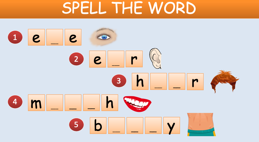 Grade 1 - Semester 1 - Week 10 - My Body 1 - ESL PowerPoint Lesson