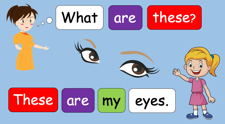 Grade 1 - Semester 1 - Week 10 - My Body 1 - ESL PowerPoint Lesson