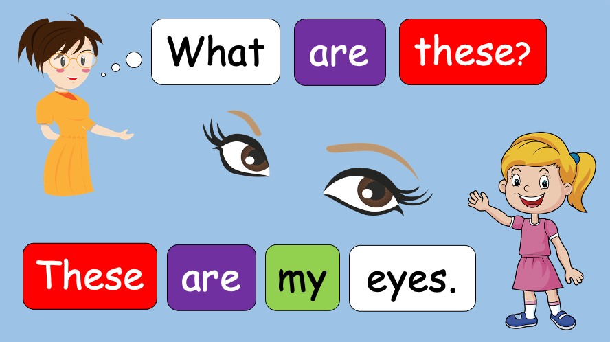 Grade 1 - Semester 1 - Week 11 - My Body 2 - ESL PowerPoint Lesson