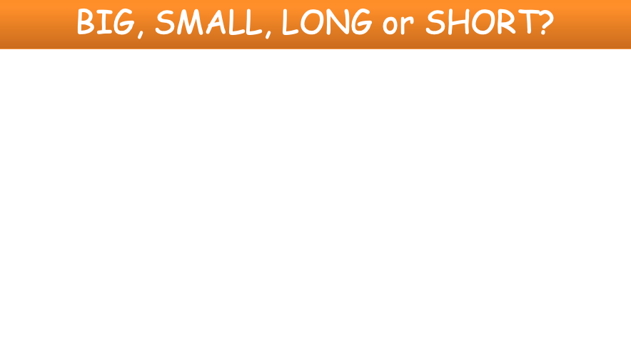 Grade 1 - Semester 1 - Week 11 - My Body 2 - ESL PowerPoint Lesson