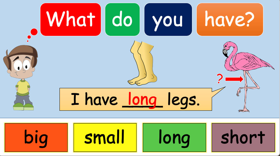 Grade 1 - Semester 1 - Week 11 - My Body 2 - ESL PowerPoint Lesson