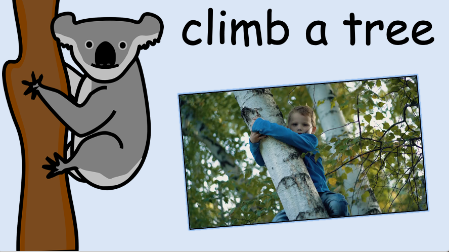 Grade 1 - Semester 1 - Week 13 - What can't you do? - ESL PowerPoint Lesson