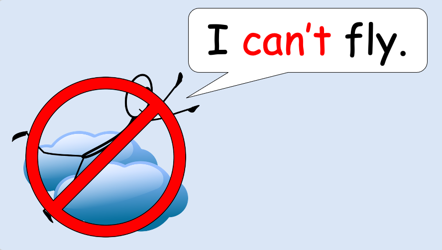 Grade 1 - Semester 1 - Week 13 - What can't you do? - ESL PowerPoint Lesson