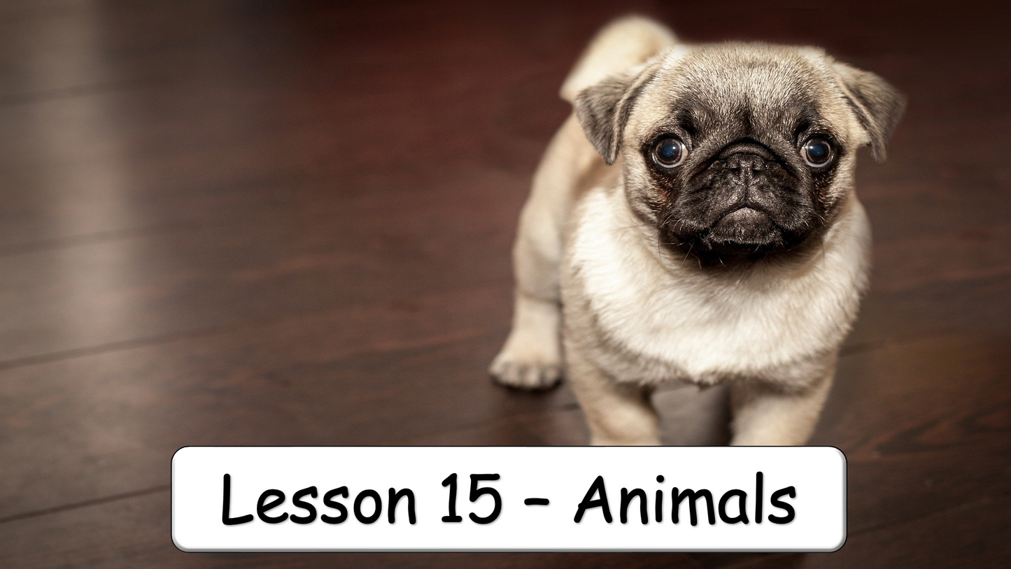 Grade 1 - Semester 1 - Week 15 - Animals - ESL PowerPoint Lesson