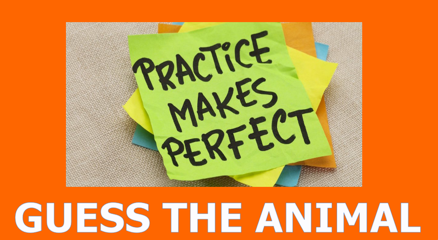 Grade 1 - Semester 1 - Week 15 - Animals - ESL PowerPoint Lesson