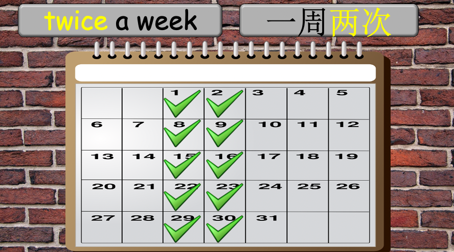 Grade 4 - ESL Lesson - How often? - PowerPoint Lesson