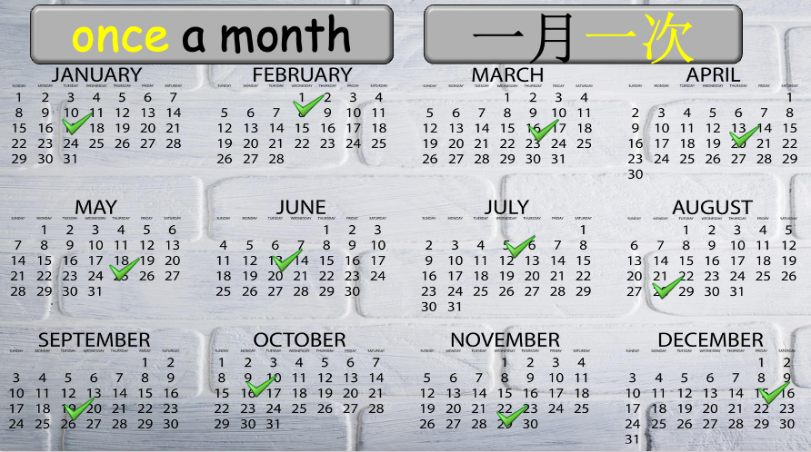 Grade 4 - ESL Lesson - How often? - PowerPoint Lesson