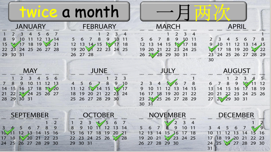 Grade 4 - ESL Lesson - How often? - PowerPoint Lesson