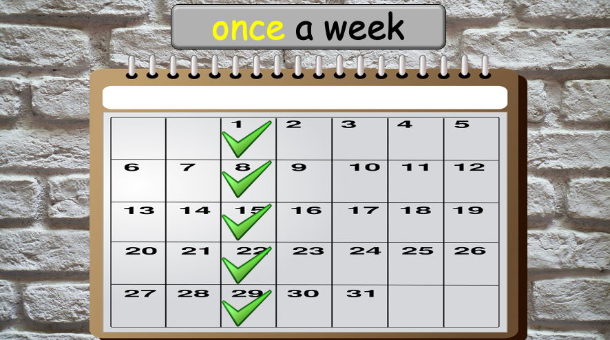 Grade 4 - ESL Lesson - How often? - PowerPoint Lesson