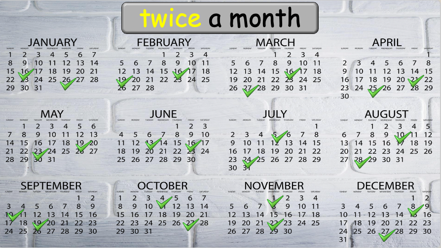 Grade 4 - ESL Lesson - How often? - PowerPoint Lesson