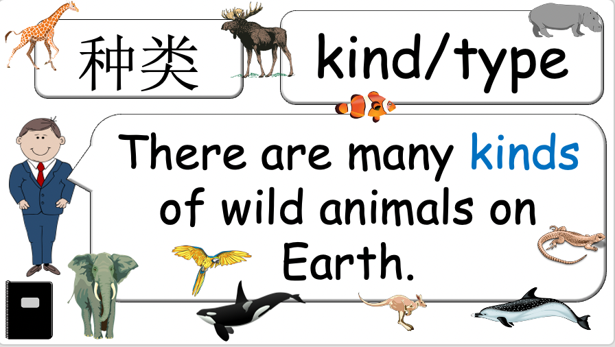 Grade 4 - ESL Lesson - Prefer/Flavors - PowerPoint Lesson