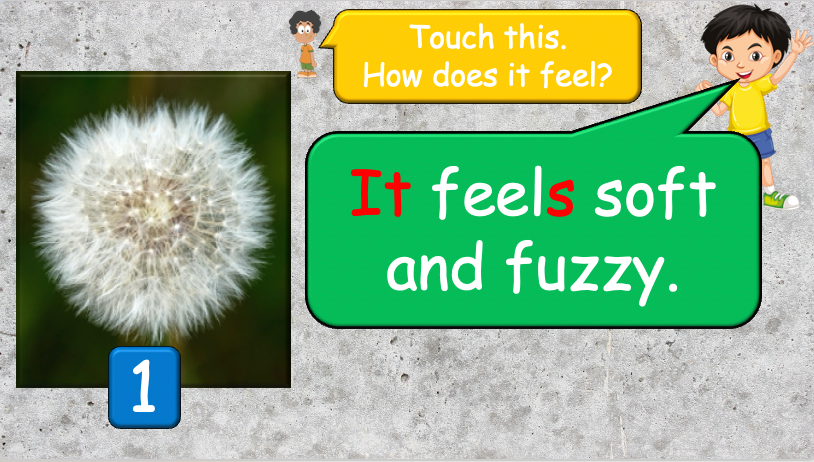Grade 4 - ESL Lesson - How does it feel? / 8 Different Textures - PowerPoint Lesson