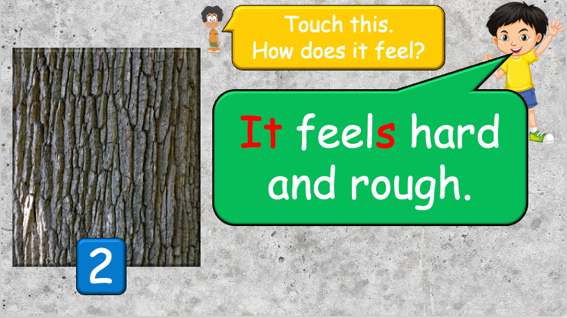 Grade 4 - ESL Lesson - How does it feel? / 8 Different Textures - PowerPoint Lesson