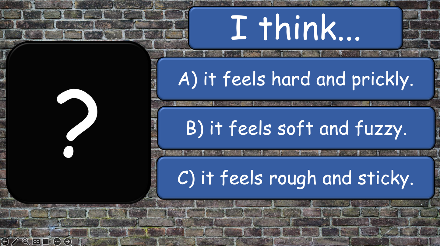 Grade 4 - ESL Lesson - How does it feel? / 8 Different Textures - PowerPoint Lesson