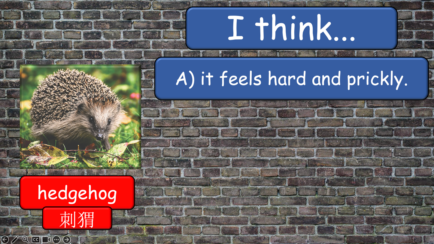 Grade 4 - ESL Lesson - How does it feel? / 8 Different Textures - PowerPoint Lesson