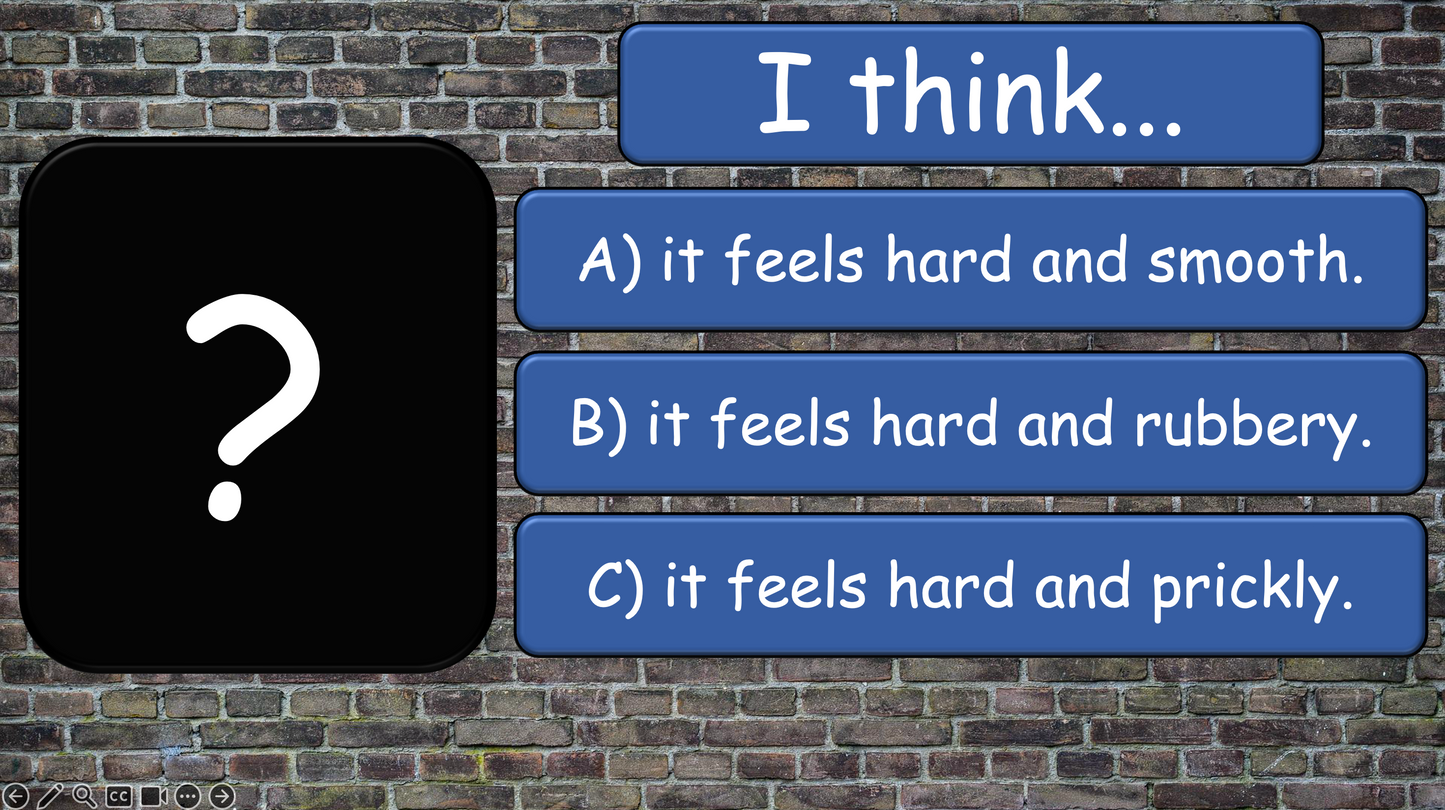 Grade 4 - ESL Lesson - How does it feel? / 8 Different Textures - PowerPoint Lesson