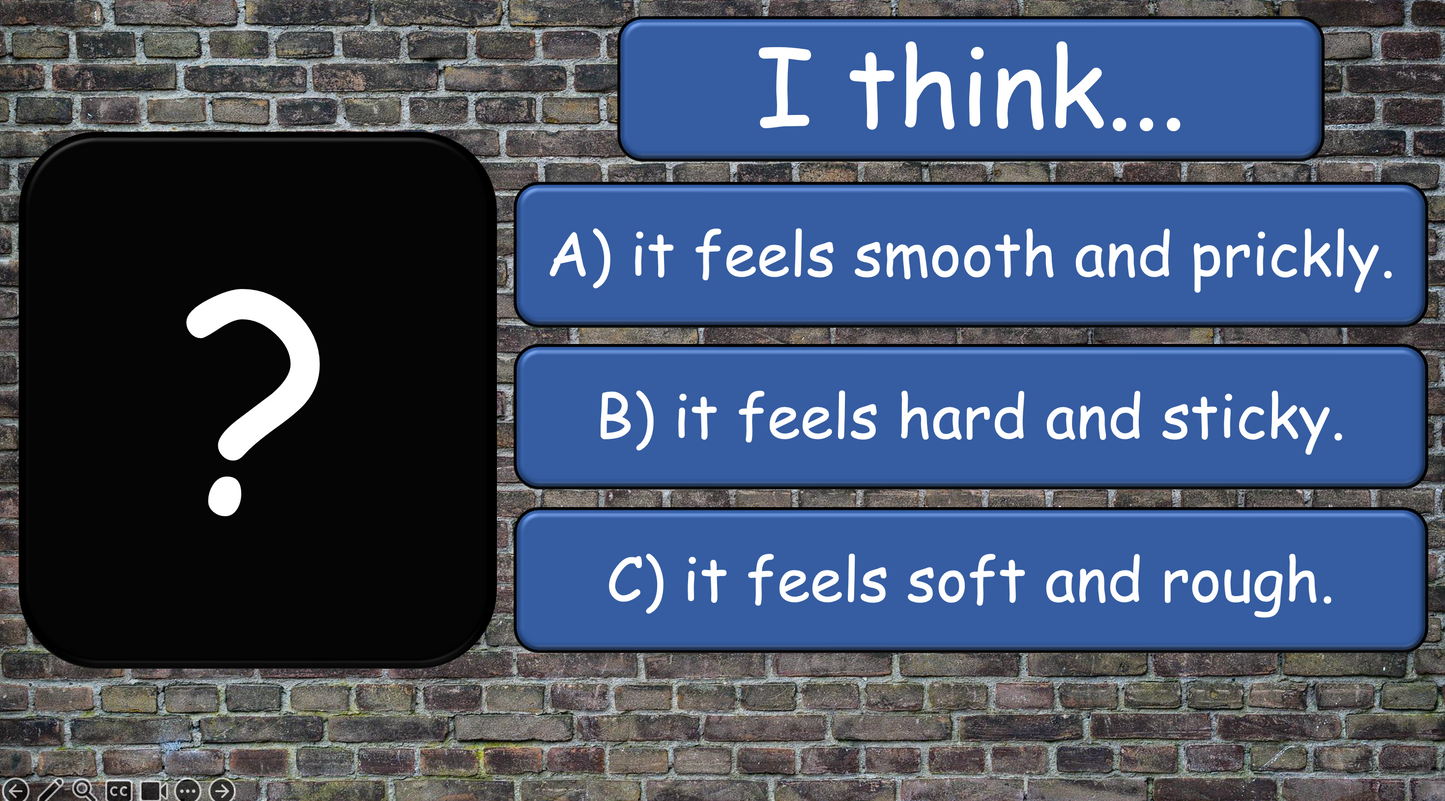 Grade 4 - ESL Lesson - How does it feel? / 8 Different Textures - PowerPoint Lesson