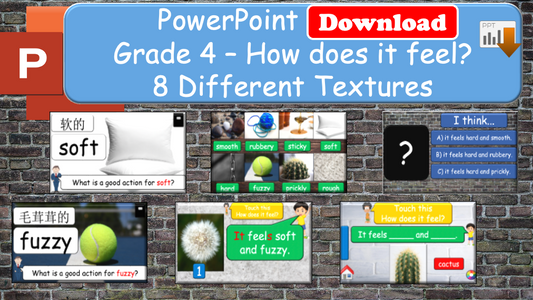 Grade 4 - ESL Lesson - How does it feel? / 8 Different Textures - PowerPoint Lesson