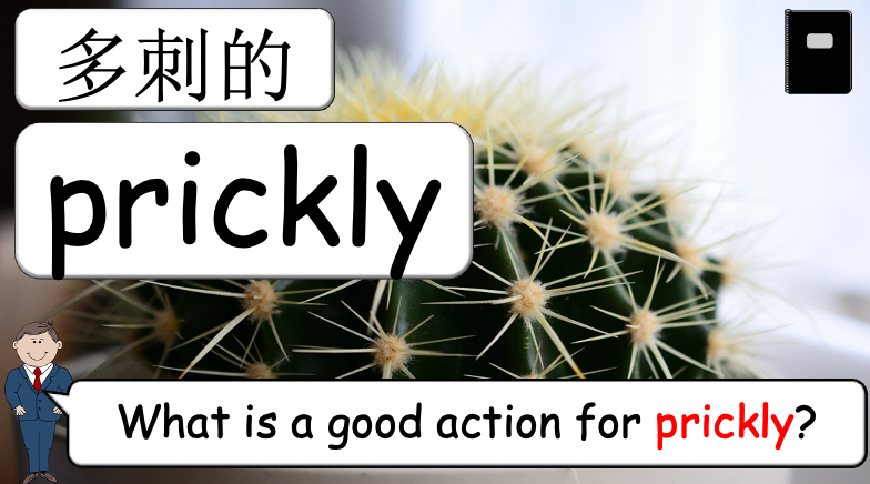 Grade 4 - ESL Lesson - How does it feel? / 8 Different Textures - PowerPoint Lesson