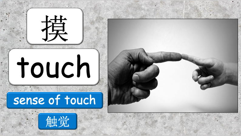 Grade 4 - ESL Lesson - How does it feel? / 8 Different Textures - PowerPoint Lesson