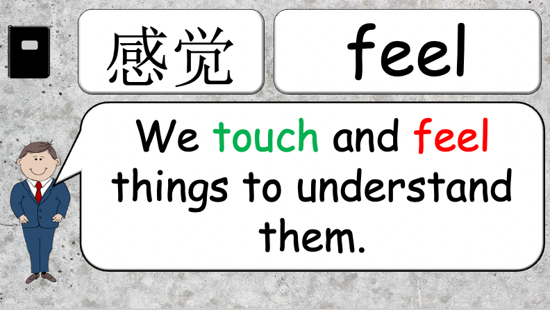 Grade 4 - ESL Lesson - How does it feel? / 8 Different Textures - PowerPoint Lesson