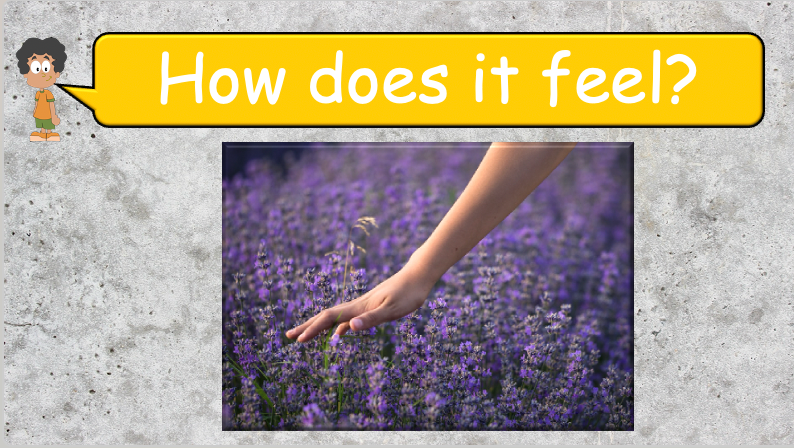 Grade 4 - ESL Lesson - How does it feel? / 8 Different Textures - PowerPoint Lesson
