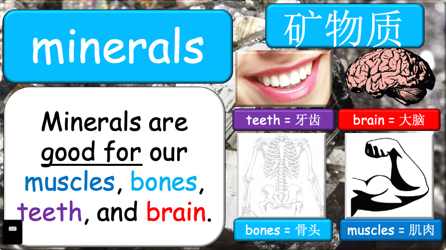 Grade 5-6 - ESL Lesson - Nutrients and Food Groups - Part 1 - PowerPoint Lesson