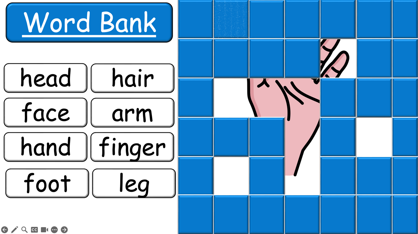 Grade 2-3 - ESL Lesson - Body Parts / Adjectives - PowerPoint Lesson