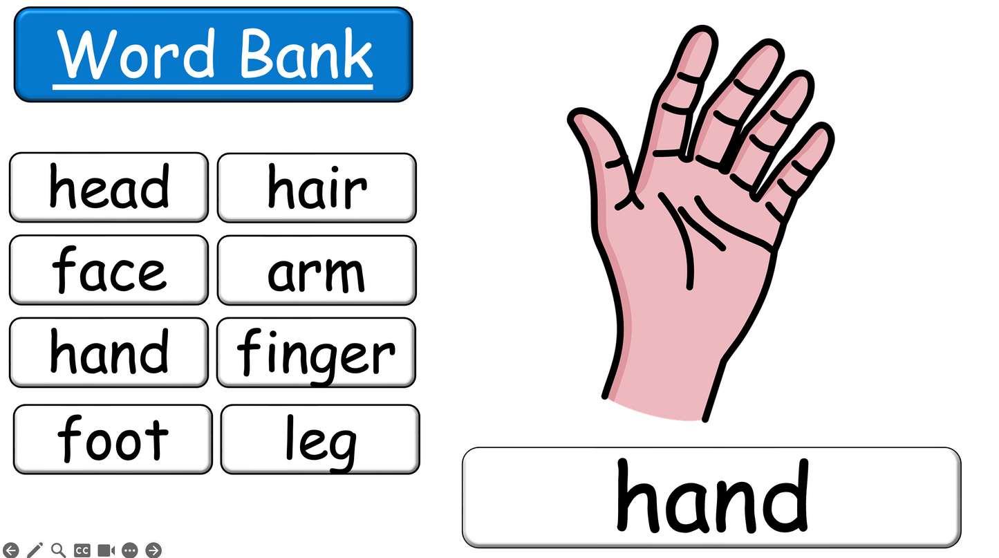 Grade 2-3 - ESL Lesson - Body Parts / Adjectives - PowerPoint Lesson