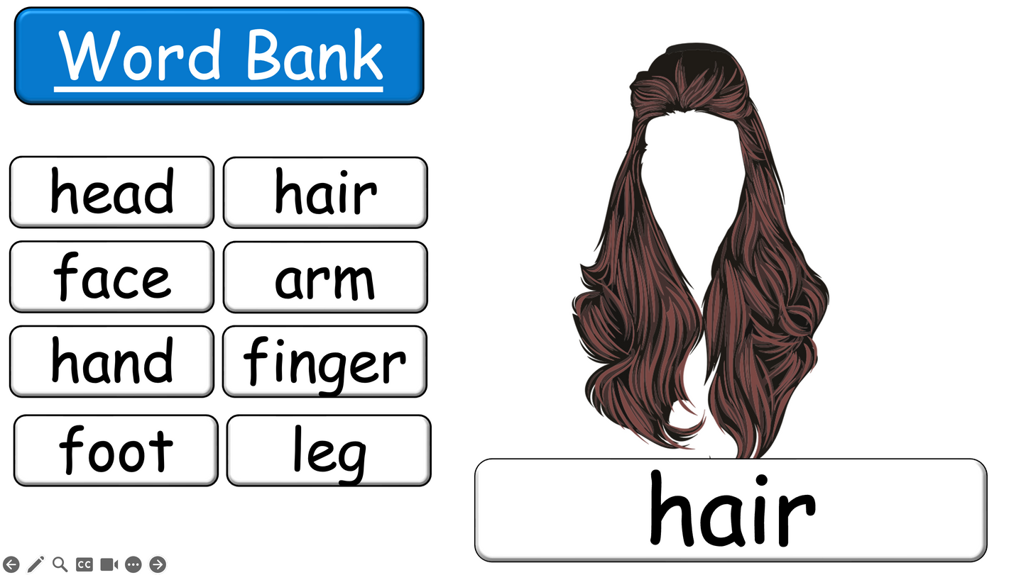 Grade 2-3 - ESL Lesson - Body Parts / Adjectives - PowerPoint Lesson