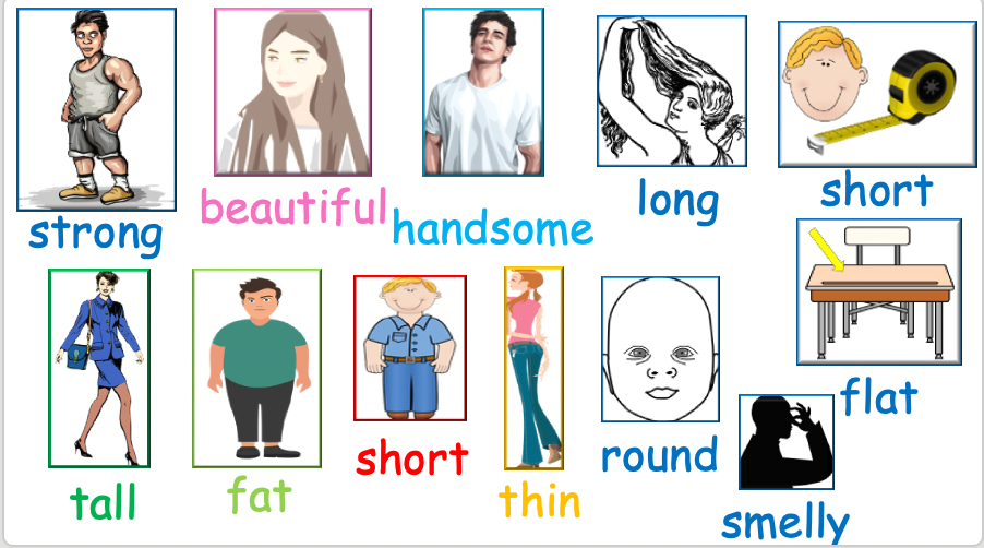 Grade 2-3 - ESL Lesson - Body Parts / Adjectives - PowerPoint Lesson