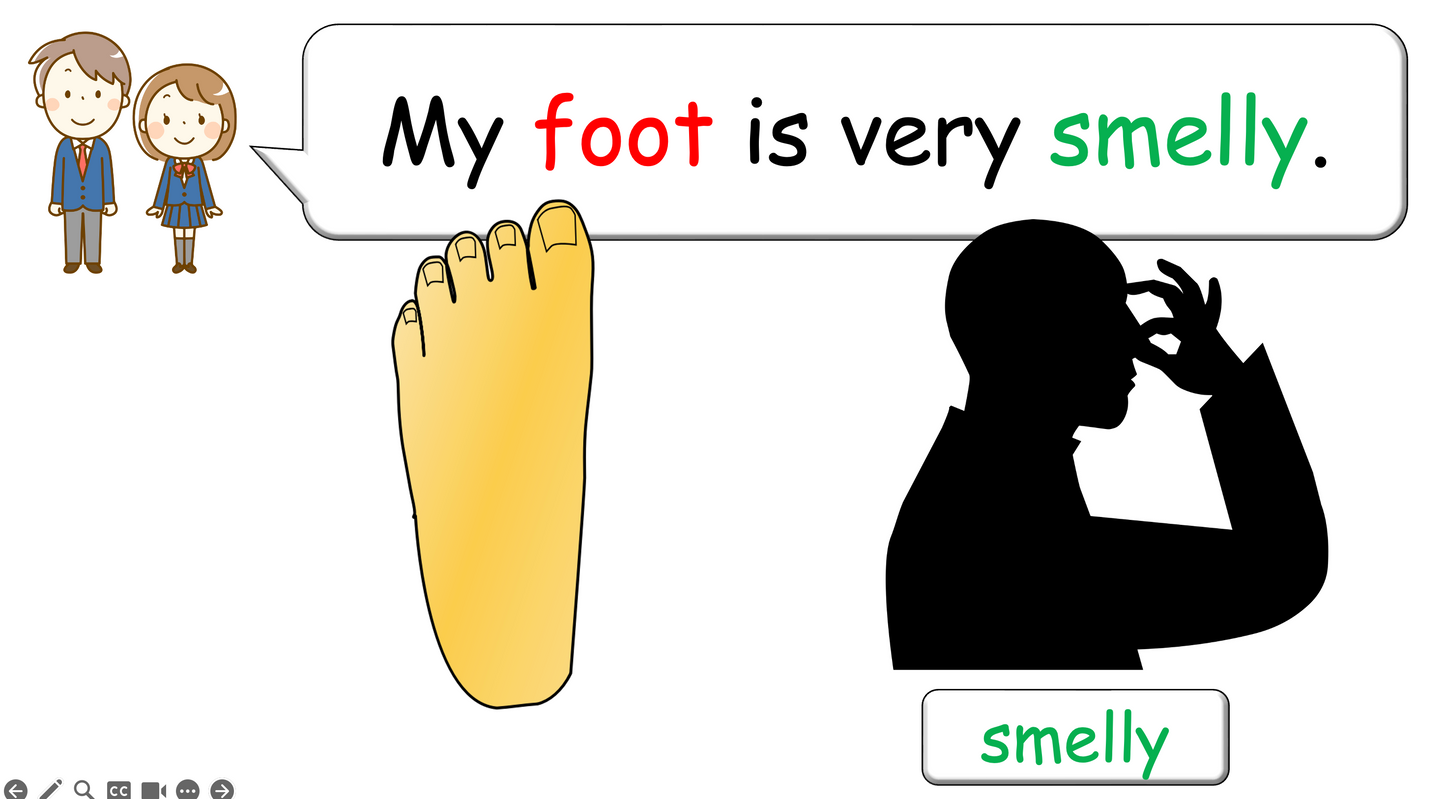 Grade 2-3 - ESL Lesson - Body Parts / Adjectives - PowerPoint Lesson