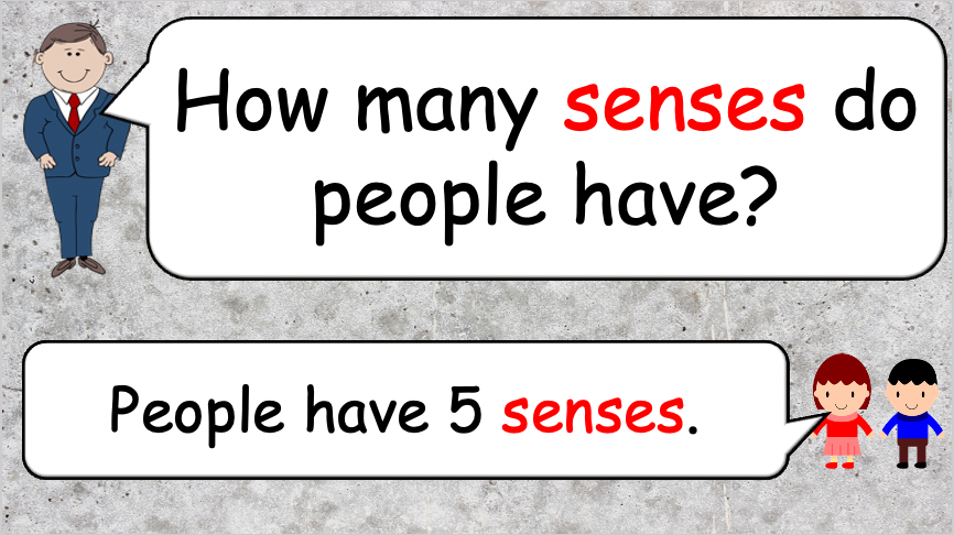 Grade 4 - ESL Lesson - Our Five Senses - PowerPoint Lesson