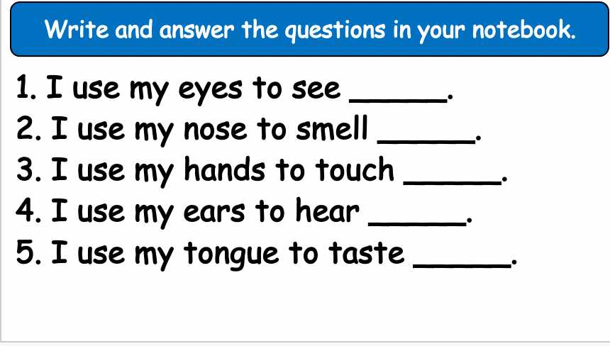 Grade 4 - ESL Lesson - Our Five Senses - PowerPoint Lesson